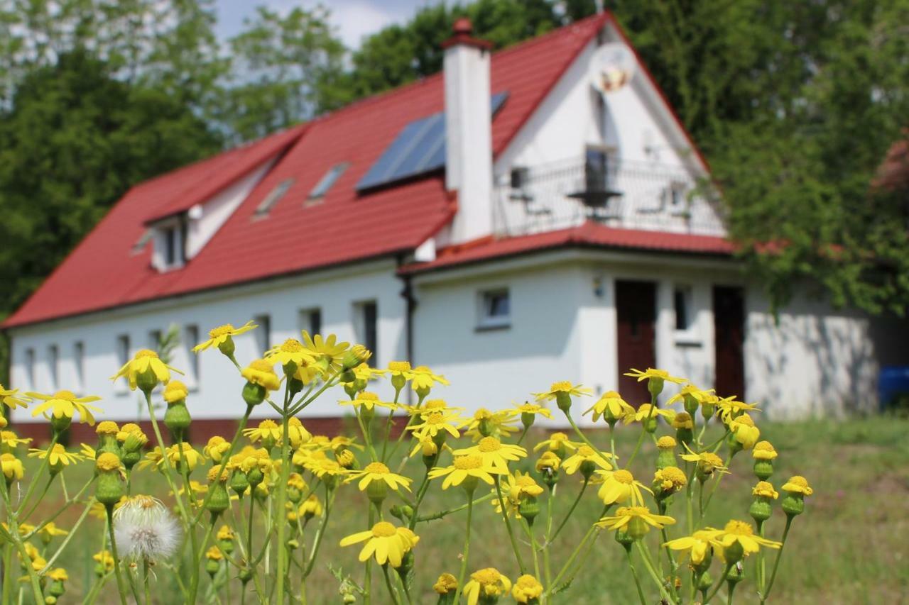 Agroturystyka Rebowo Klodawa  Bagian luar foto